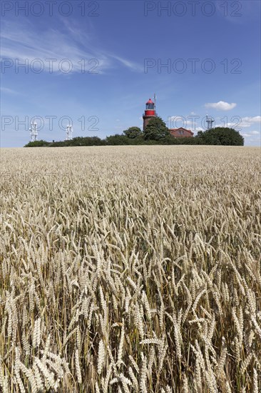 Wheat field with Bastorfer lighthouse