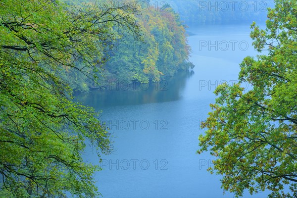 View from the high shore to the lake Schmaler Luzin in the Feldberger Seenlandschaft