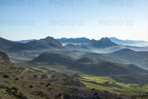 Hilly green mountain landscape