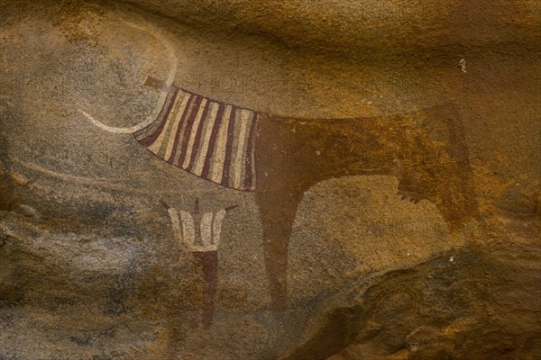 Cave paintings in Laas Geel caves