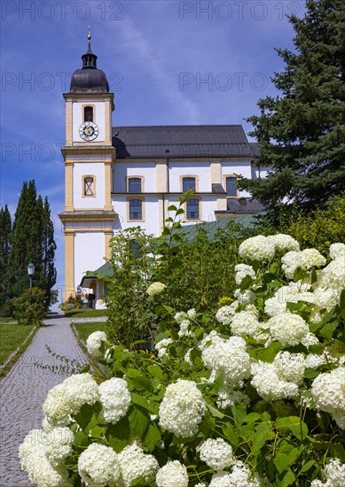 Pilgrimage basilica Maria Himmelfahrt