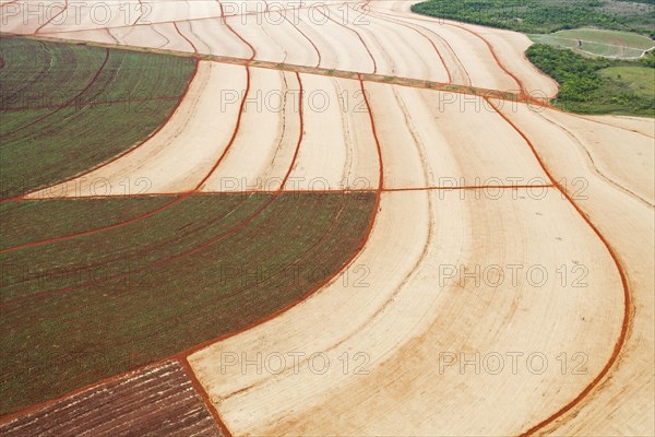 Mechanized Harvest of Sugarcane with Interior Atlantic Forest