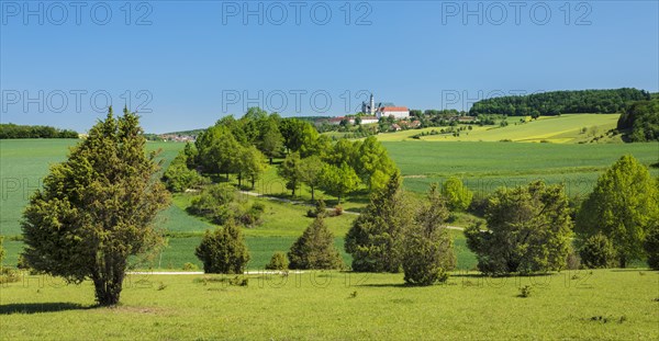 Juniper heath on the Zwing with view to Neresheim Monastery