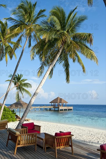 Stranbdar with lounge chairs under (Cocos nucifera) the beach