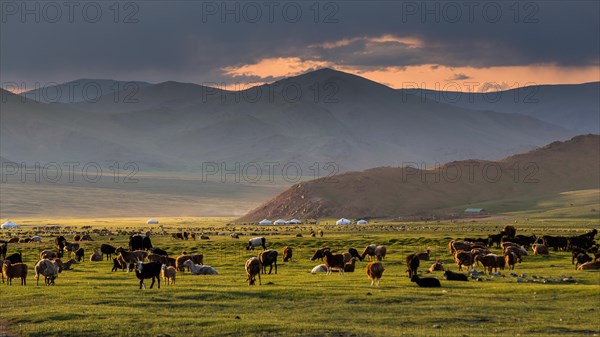 Peaceful evening. Mount Tsambagarav summer camp. Bayan-Ulgii province. Mongolia