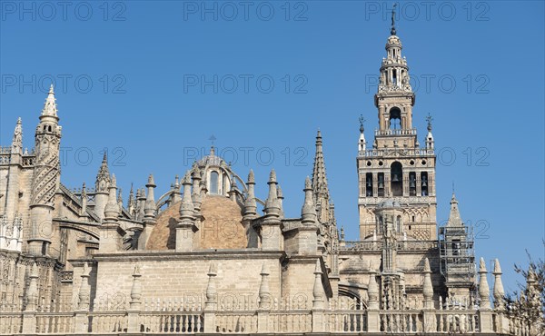 Bell Tower La Giralda