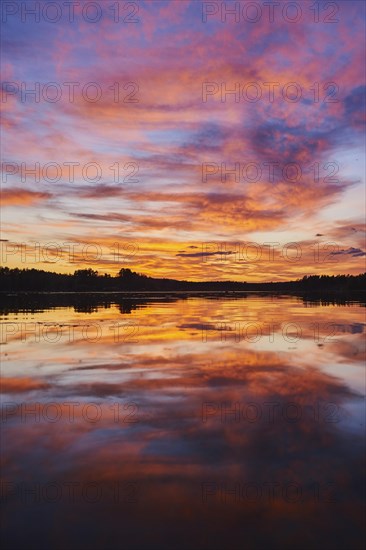 Nature reserve Grosser Russweiher at sunset