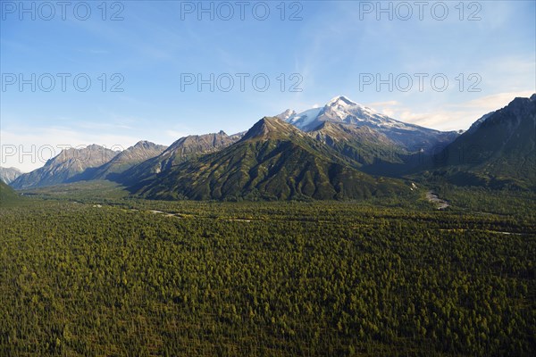 Wide forested valley with mountain peaks