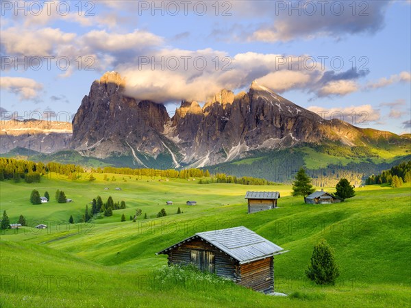 Alpe di Siusi mountain pasture