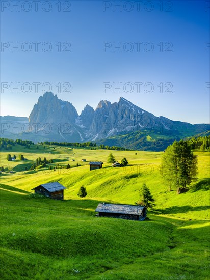 Alpe di Siusi