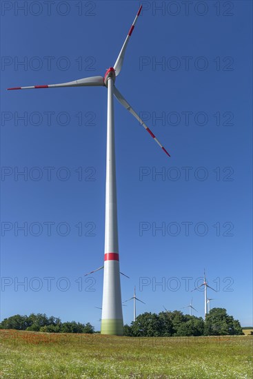 Wind turbines in blooming meadows