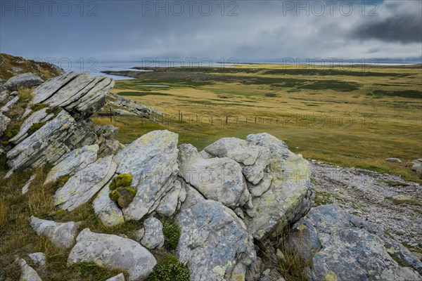 Landscape on Carcass Island