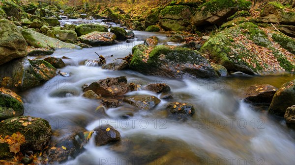 Autumn on the river Ilse in the Harz Mountains