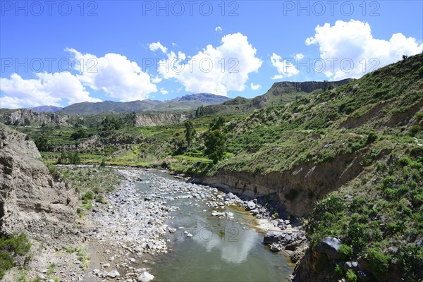Blcik into the riverbed of the Rio Colca