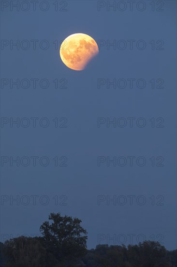 Partial lunar eclipse August 2017 with the Wollmatinger Ried and Konstanz