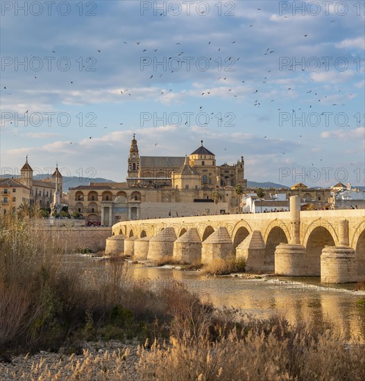 Puente Romano