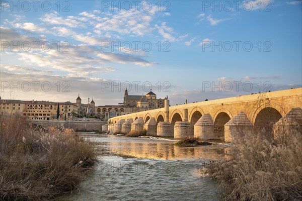 Puente Romano