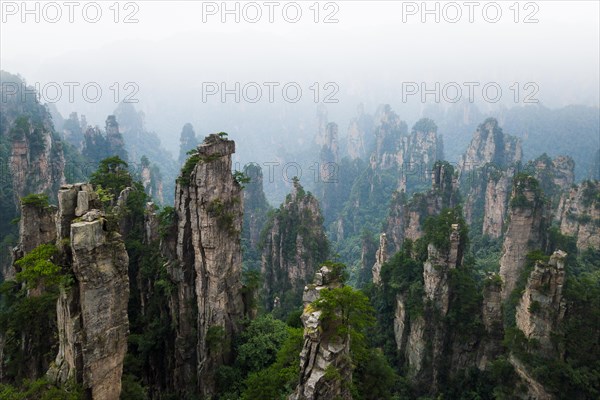 Avatar Mountains in fog