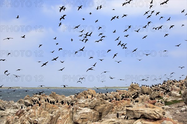 Stony Point Nature Reserve