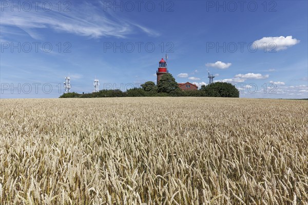 Wheat field with Bastorfer lighthouse