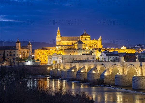 Illuminated Puente Romano