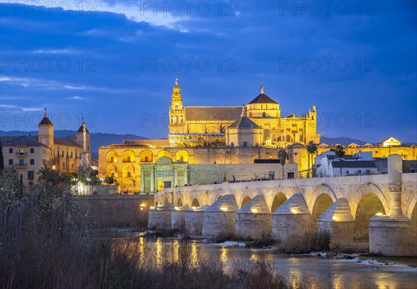 Illuminated Puente Romano