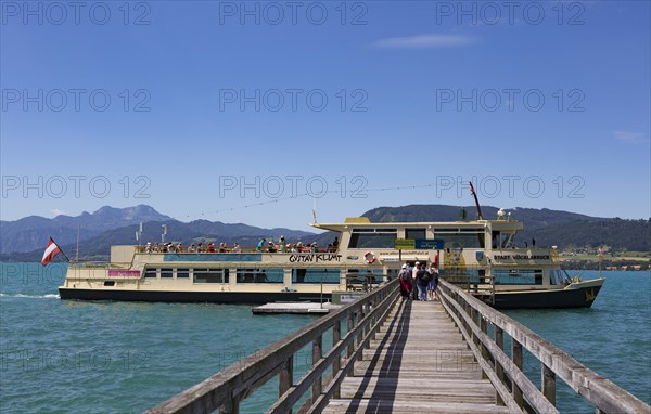 Landing stage with liner