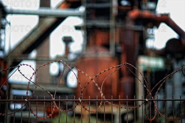 Barbed wire fence