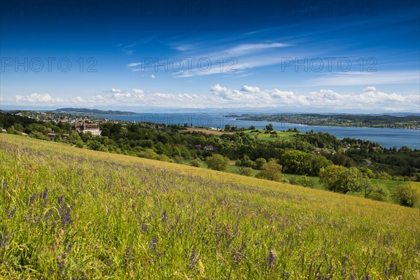 View over Lake Constance