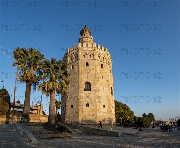 Gold Tower in the evening light