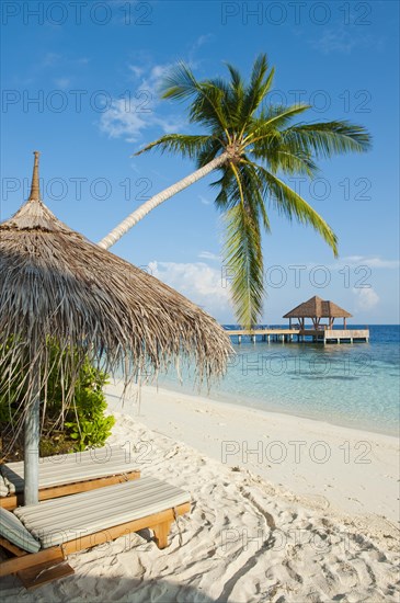 Palm covered parasol and beach chairs