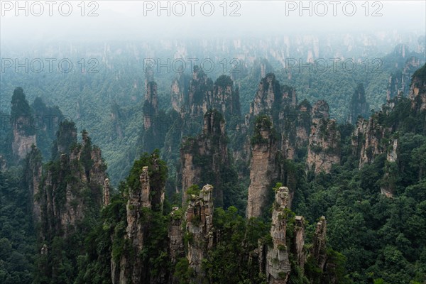 Avatar Mountains in fog