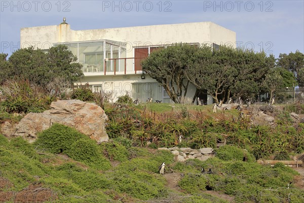 Stony Point Nature Reserve