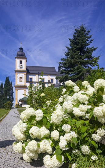 Pilgrimage basilica Maria Himmelfahrt