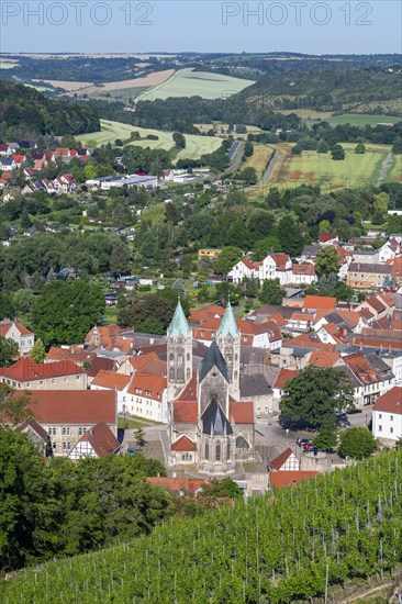 View from Neuchatel Castle towards vineyards and the town church St. Marien