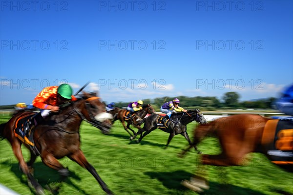 Jockey on racehorse