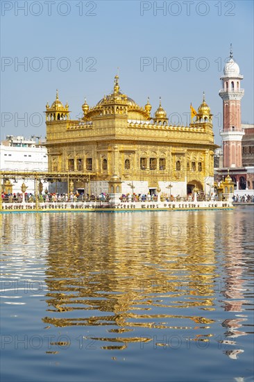 Golden temple in Amristar