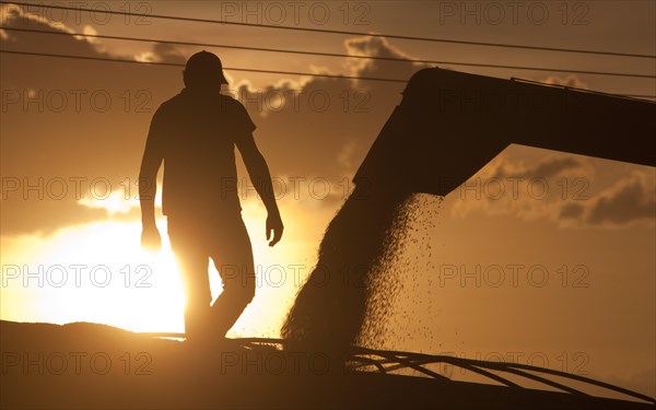 Worker Controls Unload of Soya Beans near Luis Eduardo Magalhaes