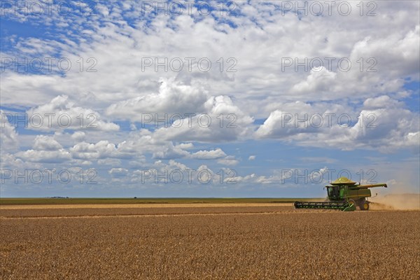 Soybean Mechanized Harvest near Luis Eduardo Mahalhaes