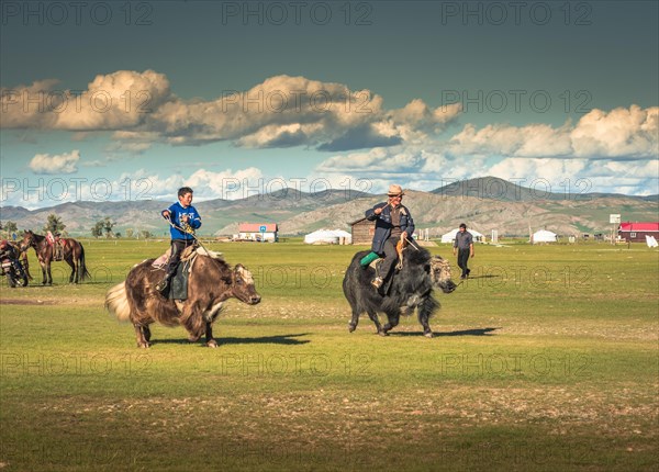 Nomads racing with yaks