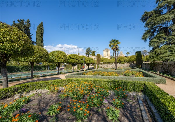 Garden of the Alcazar