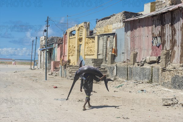 Man carrying a giant swordfish to the fishmarket of Mogadishu