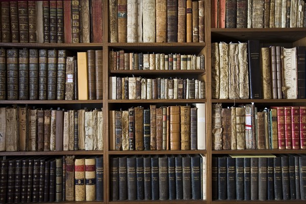 Library at the Vela de Cobos Palace