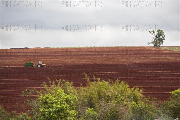 A Tractor pours fertilizer before sugar cane is planted