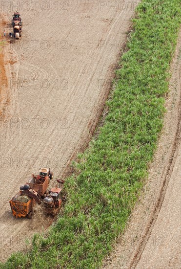 Mechanized Harvest of Sugarcane with Interior Atlantic Forest