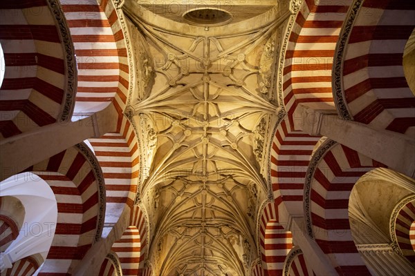 Stucco ceiling of the portico with round arches