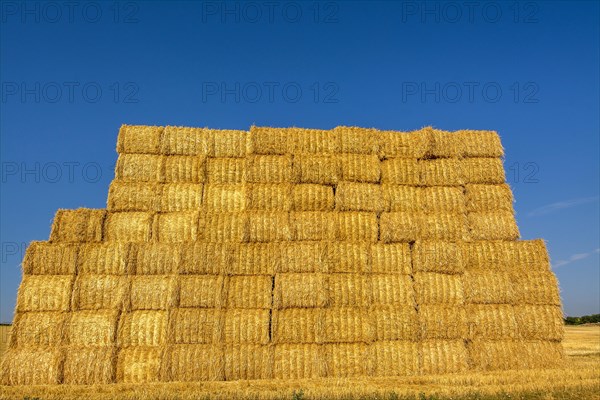 Stacked dried straw