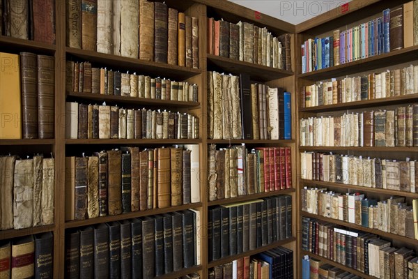 Library at the Vela de Cobos Palace