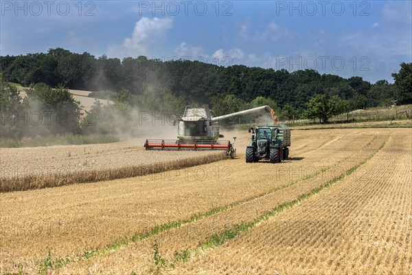 Combine harvester and loader wagon on a ripe barley field