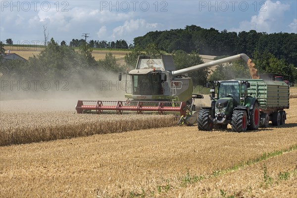 Combine harvester and loader wagon on a ripe barley field